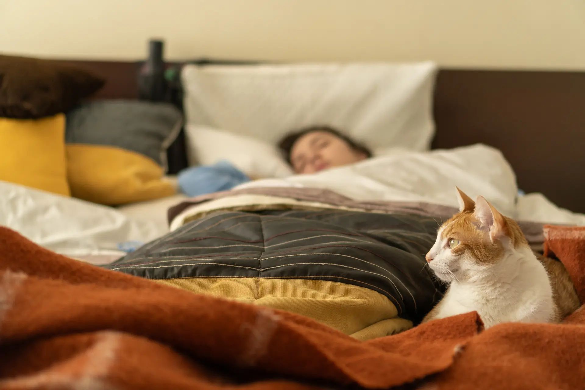 Manage stress and prioritize sleep