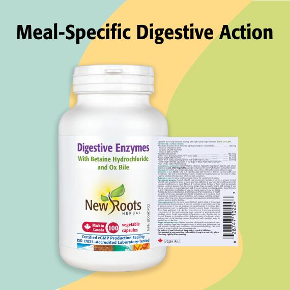 Digestive Enzymes